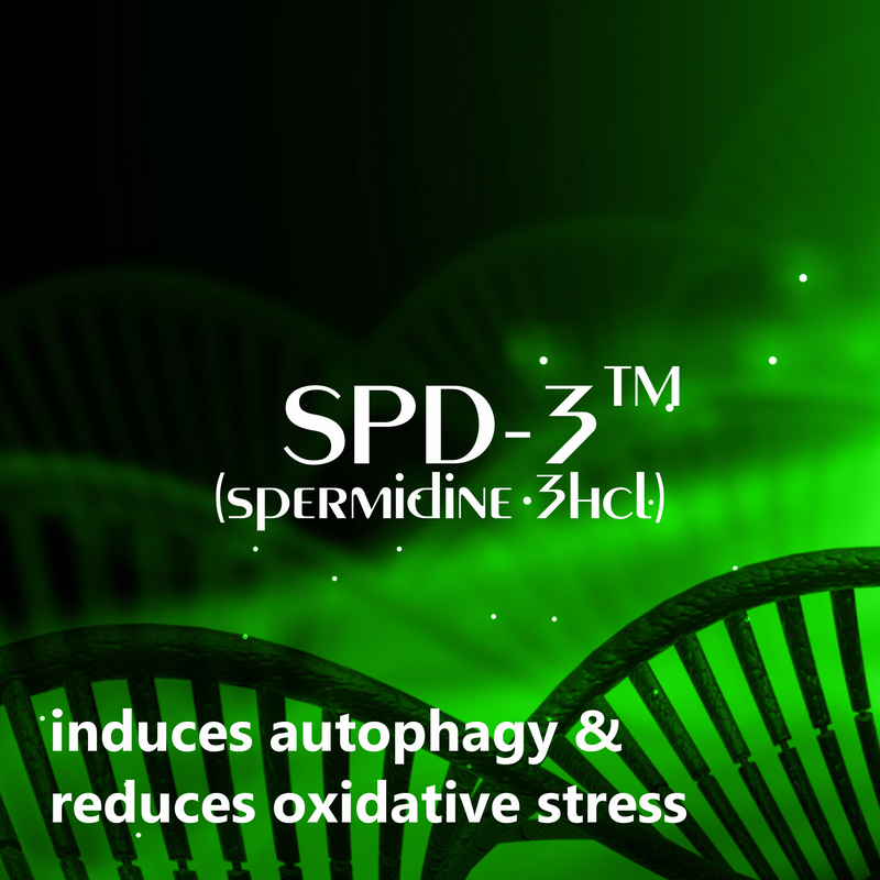 SPD-3™ [99%+ spermidine 3hcl]