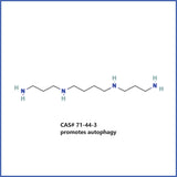 SPD-3™ [99%+ spermidine 3hcl]