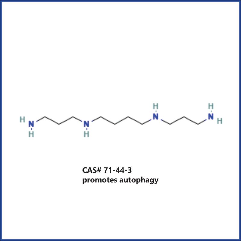 SPD-3™ [99%+ spermidine 3hcl]